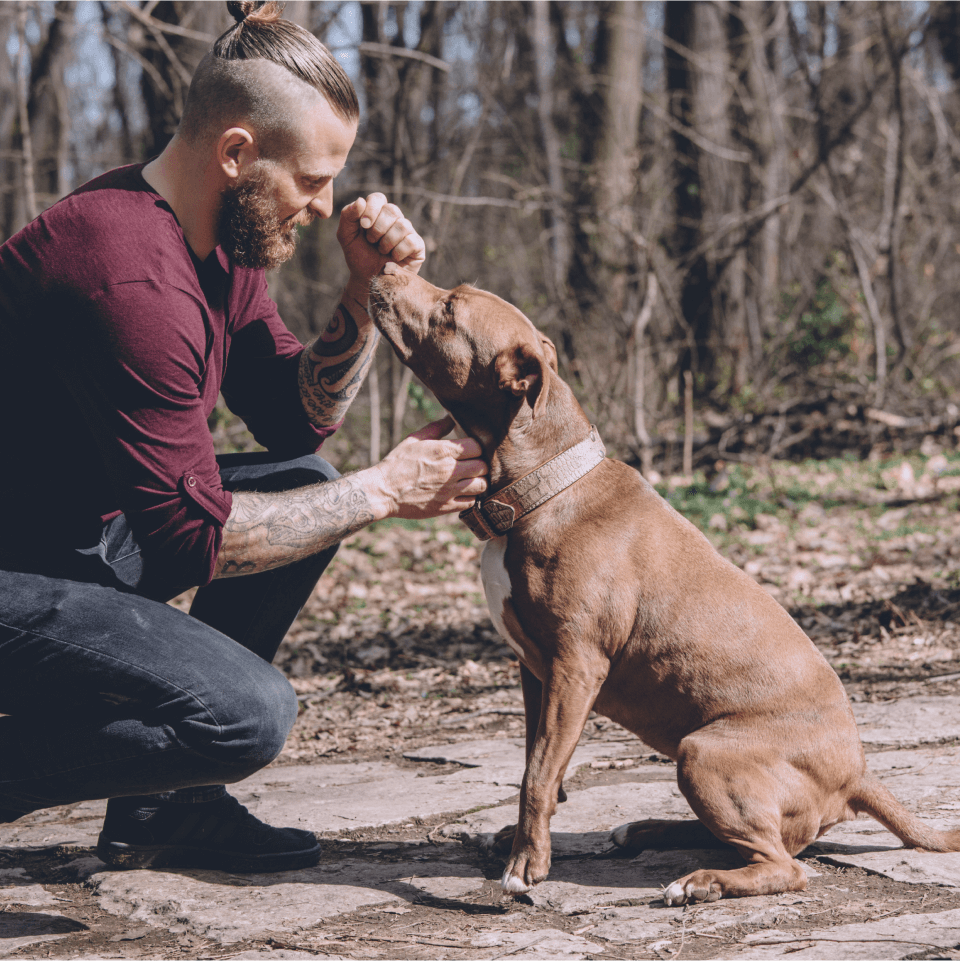 Man and dog playing in the woods