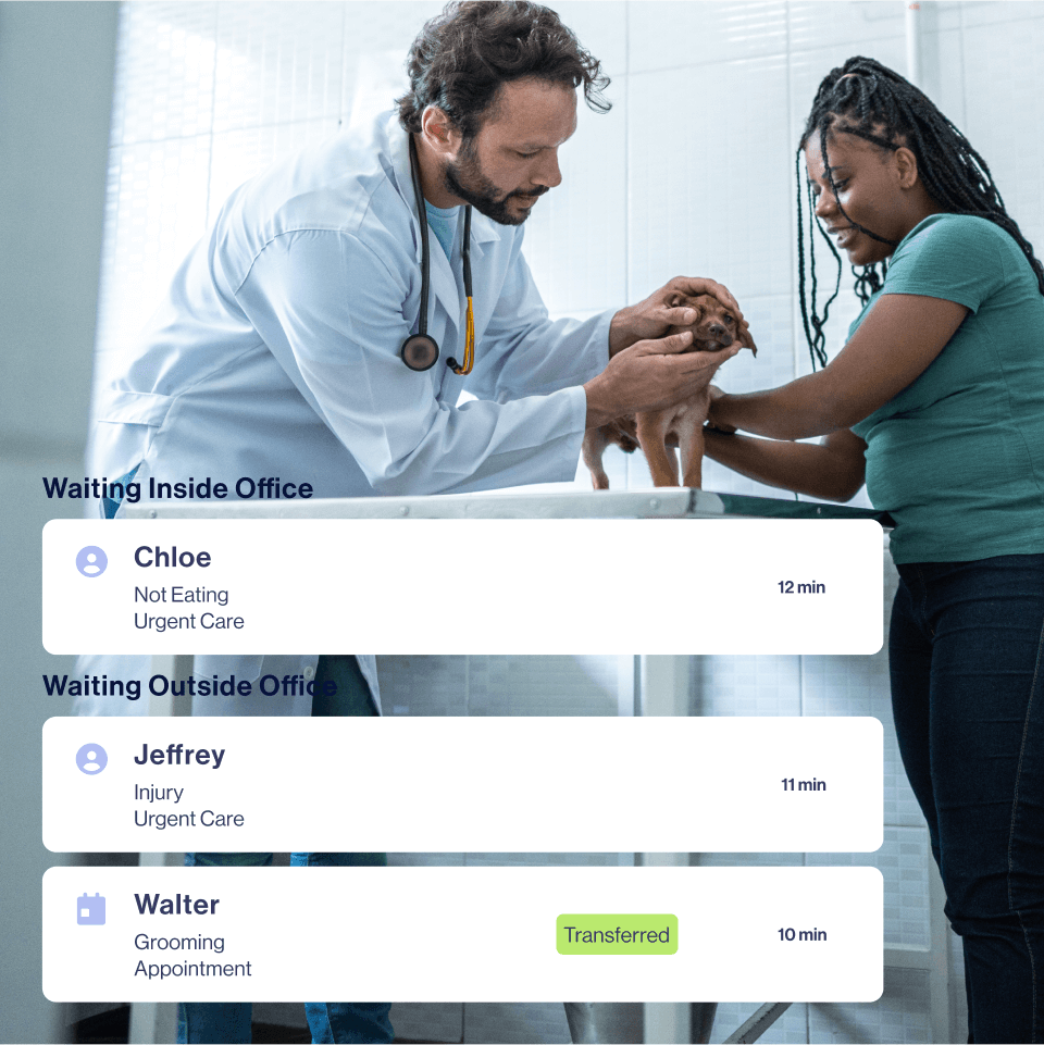 Vet reception and queue software illustration
